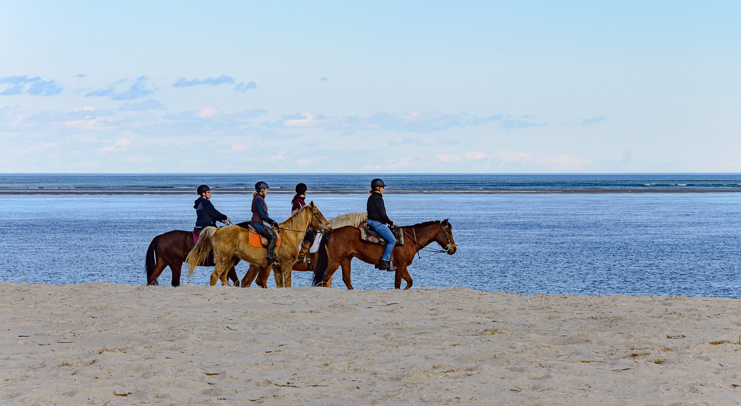 People riding horses in the sand along Crane Beach
