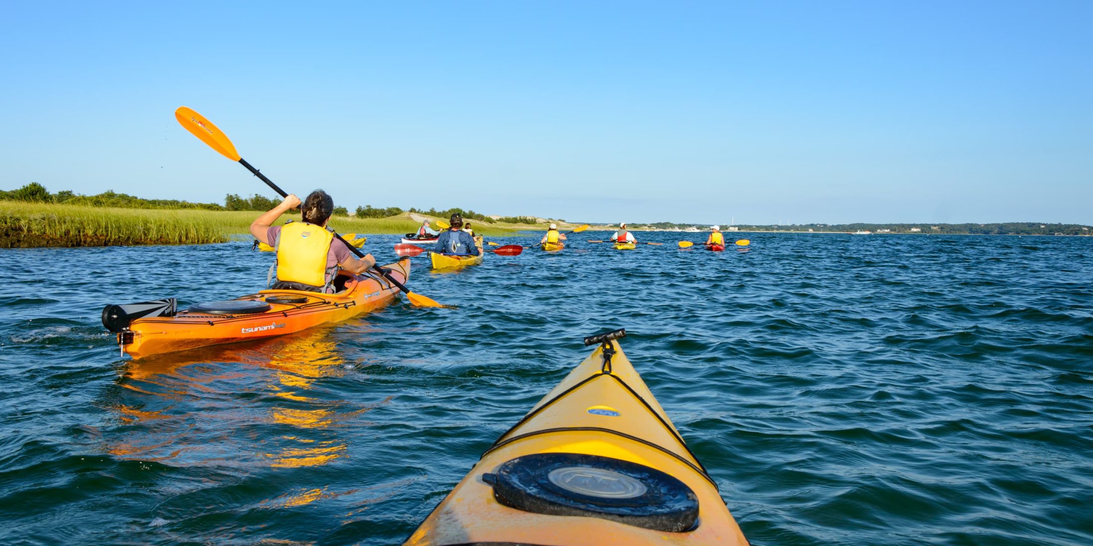 Group kayaking on calm waters
