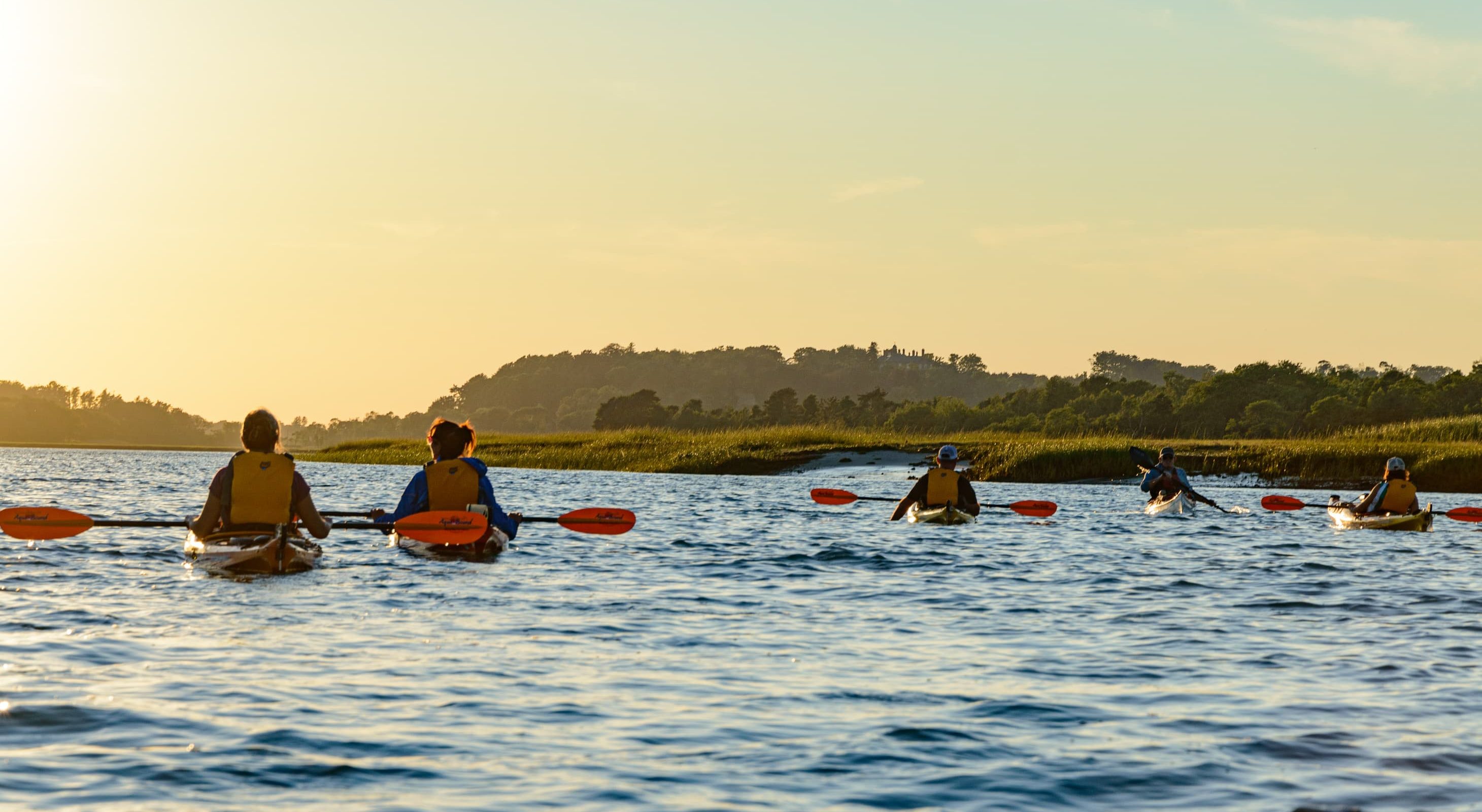 Group kayaking on calm waters