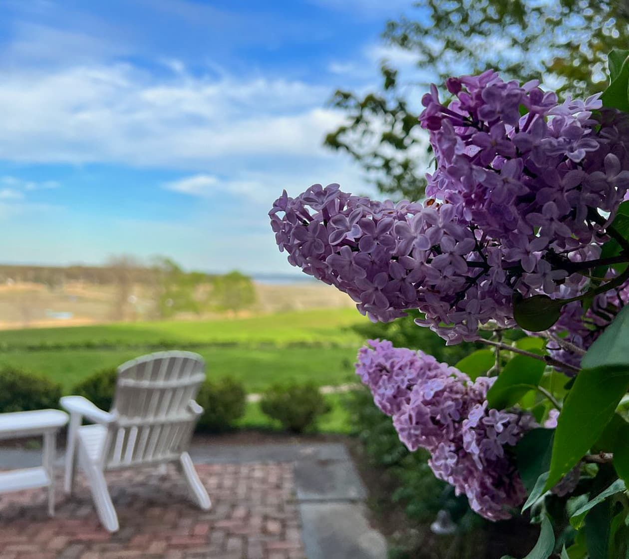 Chairs in the garden and a view of the coast and lilacs blooming in the foreground at hotel in Ipswich, MA